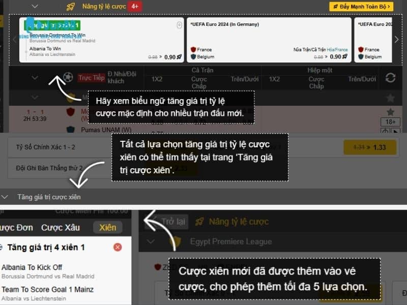 Cách xem giao diện cá cược bóng bàn dễ hiểu Cách xem giao diện cá cược bóng bàn dễ hiểu