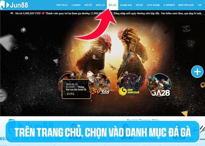 Các bước tham gia Đá Gà Jun88 Các bước tham gia Đá Gà Jun88