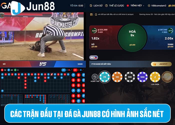 Đá Gà Jun88 cung cấp các trận đấu với hình ảnh sắc nét Đá Gà Jun88 cung cấp các trận đấu với hình ảnh sắc nét