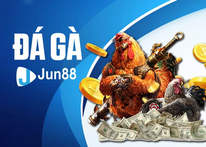 Giới thiệu về Đá Gà Jun88 Giới thiệu về Đá Gà Jun88