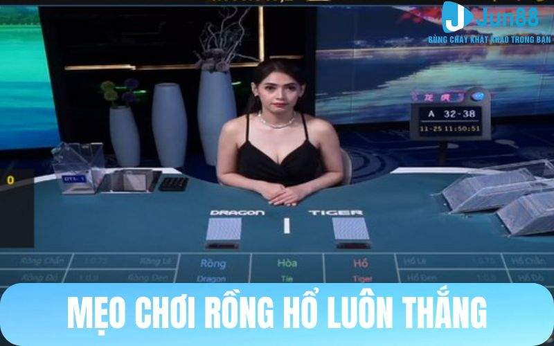 Kinh nghiệm chơi Rồng Hổ Online tại Live Casino Jun88
